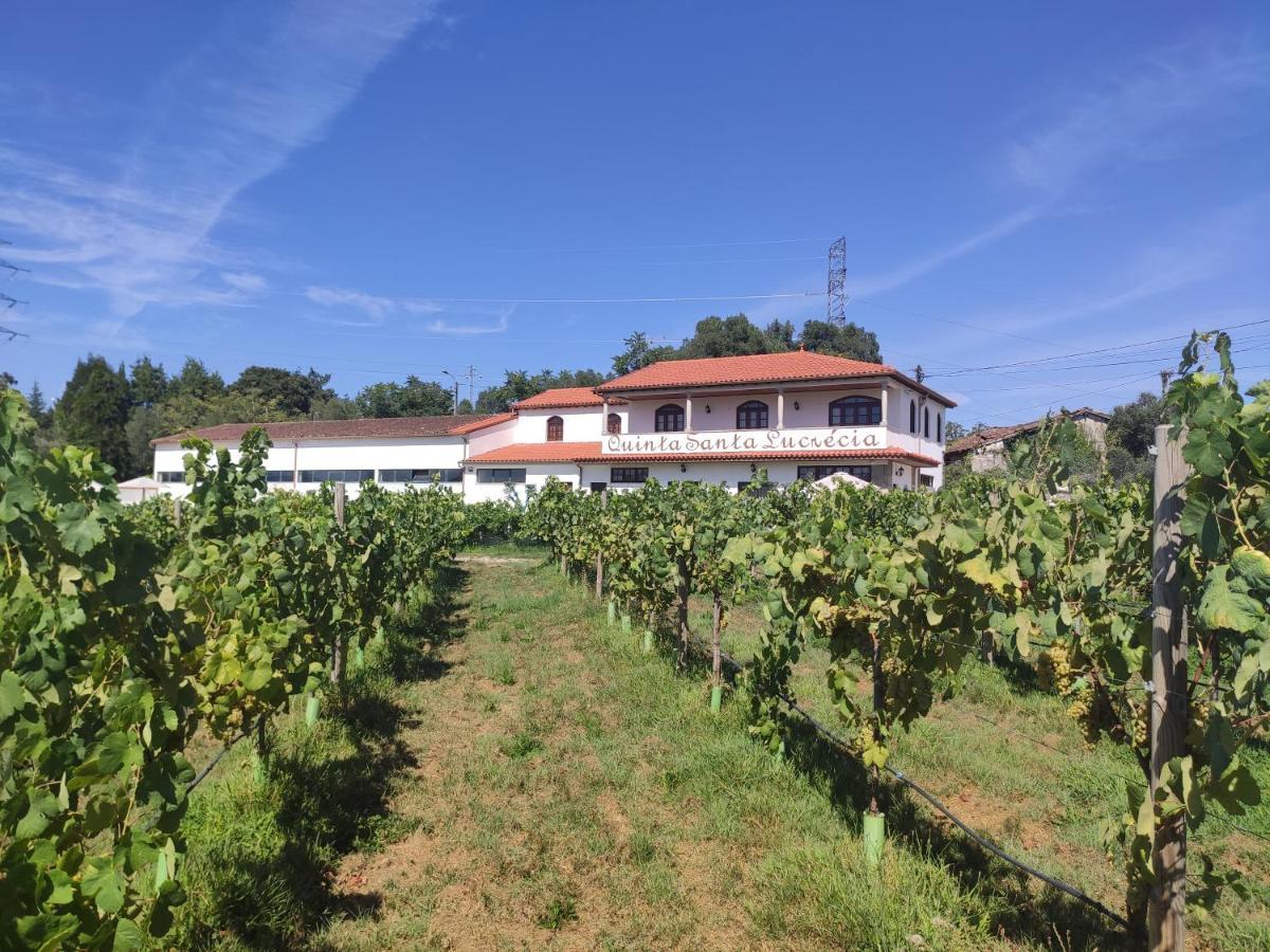 브라가 Quinta Santa Lucrecia 빌라 외부 사진
